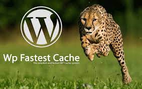 WP Fastest Cache juga merupakan plugin cache wordpress yang bisa anda coba